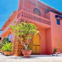 Homestay Sân Vườn Nhiều Cây Và Hoa. Kiến Trúc Cổ Điển Độc Đáo, Đặc Trưng Đà Lạt