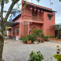 Homestay Sân Vườn Nhiều Cây Và Hoa. Kiến Trúc Cổ Điển Độc Đáo, Đặc Trưng Đà Lạt