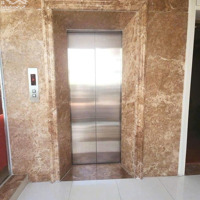 Bán Biệt Thự Cầu Giấy 180M2 5 Tầngmặt Tiền5M 45 Tỷ Full Nội Thất, Thang Máy, Sân Vườn. Liên Hệ: 0983918483