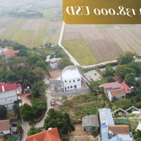 Kim Điền - 138.000Usd -400M2 Tại Tỉnh Lộ 35, Nam Sơn, Sóc Sơn, Hà Nội, Giá Bán 15 Triệu/M2, View Đẹp!