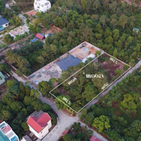 Lâm Phong Thịnh 286.000 Usd - 1500M2 Tại 35 Minh Phú, Sóc Sơn, Hà Nội, Giá Cực Chất 7,5 Triệu /M2