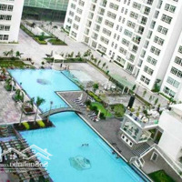 Cho Thuê Cc New Saigon Hoàng Anh 3, Giá Ưu Đãi 10 Triệu, 99M2, 2 Phòng Ngủ 2 Vệ Sinhtại Nhà Bè