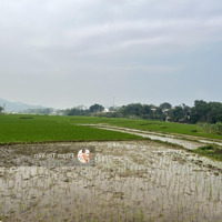 Bán Trước Tết. Lô Đất Có Diện Tích 418M/100M Tc Tại Trung Tâm Xã Cao Sơn, View Cực Đẹp