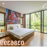 Chính chủ cần bán căn villa siêu vip tại Flamingo Đại Lải, Phúc Yên, Vĩnh Phúc, 23,5 tỷ, 0386399899