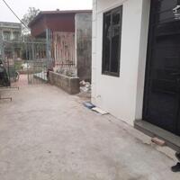 Bán nhanh 100m2 full thổ cư: Chỉ Đạo, Văn Lâm: 0988663893