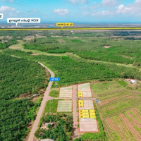 Bán Đất Quốc Lộ 1A, 600 Triệu, 300M2, Bao Đẹp Q.gio Linh, Quảng Trị