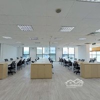 Cho Thuê Văn Phòng 230M - The Galleria Nam Kỳ Khởi Nghĩa Quận 3 - Giá Tốt Bàn Giao Ngay