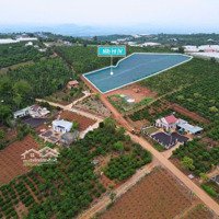 Tân Hà- Lâm Hà Diện Tích 1000M2 Sẵn 100M2 Thổ Cư Kdc Hiện Hữu Cách Trung Tâm 1Km View Triệu Đô