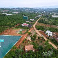 Tân Hà- Lâm Hà Diện Tích 1000M2 Sẵn 100M2 Thổ Cư Kdc Hiện Hữu Cách Trung Tâm 1Km View Triệu Đô