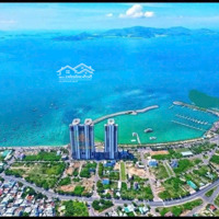 Bán 1200M2 Ngang 40M Đường Trần Đăng, Kđt Vĩnh Hoà, Nha Trang- 0964326158