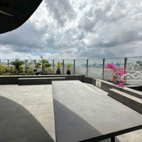 Cần Bán Penthouse Riverpark Premier, Phú Mỹ Hưng, Quận 7