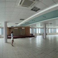 Cho Thuê Siêu Mặt Tiền Biển Trần Phú, Tp Vũng Tàu ( Diện Tích: 40M X 50M = 2000M2) Cơ Sở Hạ Tầng Sẵn.