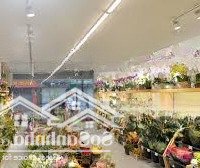 Cho Thuê Nhà Mặt Phố Bạch Đằng, Hoàn Kiếm: Diện Tích 71M Tầng 1 Riêng Biệt, Mặt Tiền 6M