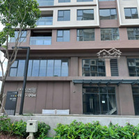 Đón Lộc Vàng Năm Mới Với Căn Shophouse Block Mpx Mua Trực Tiếp Giá Cđt - Chiết Khấu 500 Triệu- Miễn Pql