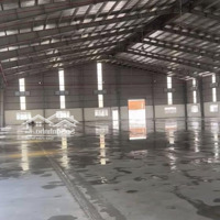 Cho Thuê Kho Xưởng Kcn Đức Hòa, Long An, Khuôn Viên: 15.000M2, Xưởng: 7.200M2, Pccc Tự Động