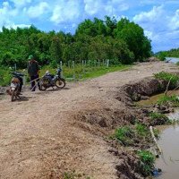 Đất Dành Cho Nhà Đầu Tư Lâu Dài , Shr, 1/ Phạm Thị Thàng , Củ Chi