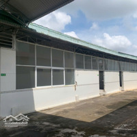 Cho Thuê Kho Xưởng 8.000M2 Cần Giuộc, Long An. Hệ Thống Pccc Tự Động. Đầy Đủ Các Hạng Mục