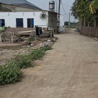 Đất Đẹp Giá Rẻ Tại Hoàng Thanh Hiệp Hòa Bgiang