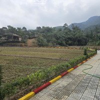 Bán Đất Đẹp Nghỉ Dưỡng View Suối Núi Đồi Đường Đồng Vỡ, Phú Mãn Giá Rẻ 468M2, Nhỉnh 6 Tỷ