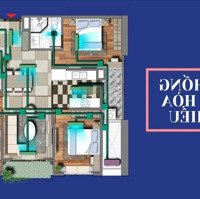 Quỹ Căn Ngoại Giao Dự Án Viha Complex - Viha Leciva 107 Nguyễn Tuân, Rẻ Hơn Chủ Đầu Tư 1.8-4.5 Tỷ