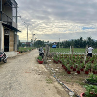 Bán Đất Diên Toàn, Diên Khánh, Khánh Hòa.