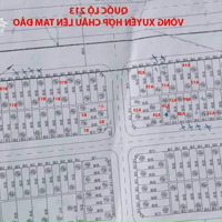 Bán Đất Đấu Giá Tdp Bảo Phác, Hợp Châu, Tam Đảo