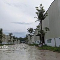 Cho Thuê Kho Xưởng 20.000M2 Đức Hòa, Long An. Hệ Thống Pccc Tự Động