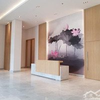 Cho Thuê Căn Hộ 2 Phòng Ngủ 89M2 Tại Richlane Residence, 16 Triệu Vnd, Q7, Hcm, Hàng Hiếm Đẹp