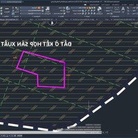 Cần Bán Lô Đất 4.312M2 Có Sẵn 240M2 Thổ Cư Đường Nhựa Đẹp Ô Tô Né Nhau Xã Thái Mỹ, Huyện Củ Chi