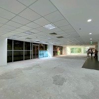 Cho Thuê Vp Mới - Giá Tốt ... Diện Tích: 390M2 ( Full Sàn)