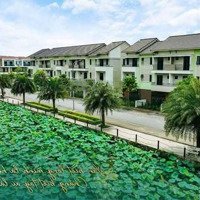 Chỉ Cần 2,6 Tỷ Sở Hữu Căn Shophouse View Sông Tại Centa Vsip Từ Sơn Nhìn Sang Ninh Hiệp, Gia Lâm