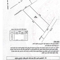 Bán Nhà Đường Nhựa 12M Trần Thị Trọng, P15, Q. Tân Bình,Diện Tích10Mx40M, Full Thổ Cư, Tiện Biệt Thự