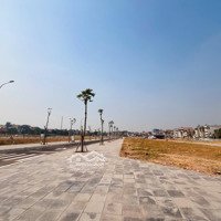 Đầu Tư Ngay Đất Nền Chũ Central Park Để Nhận Rinh Thêm Quà Về Ngay, Chỉ 50% Vốn Sở Hữu Ngay Lô Đất