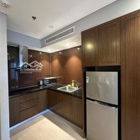 Bán Căn Hộ 1 Phòng Ngủ Tại Tòa Nhà Alphanam Luxury Apartment Trên Con Đường Biển Võ Nguyên Giáp