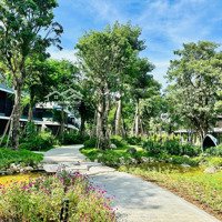 Bán Liền Kề Qt1 Gần Công Viên Hồ Thiên Nga, Cluphouse Tại The Plaza - Eco Central Park Vinh