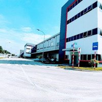 Cho Thuê Xưởng 2800M2 Trong Kcn Nhơn Trạch, Đồng Nai. Pccc Tự Động, Pháp Lý Chuẩn Kcn, Điện 560Kva