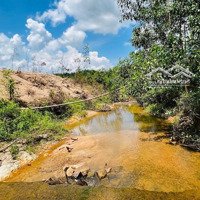 Bán Đất Vườn Lý Tưởng Làm Farm Gần Suối Khánh Đông, Khánh Vĩnh