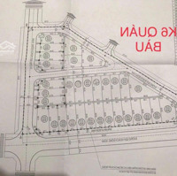 8.X Tỷ Có Ngay 150M2 Đất Kinh Doanh Mặt Đường Hàn Quốc, Phường Quán Bàu Tp Vinh.