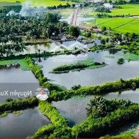 Cần Bán 11252Mv Đất Lúa Tiền Đường Vành Đai 3 - 100M Ngang, Giá 2, 3 Triệu/Mv Tương Đương 25,879Ty