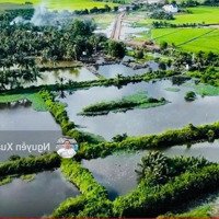 Cần Bán 11252Mv Đất Lúa Tiền Đường Vành Đai 3 - 100M Ngang, Giá 2, 3 Triệu/Mv Tương Đương 25,879Ty