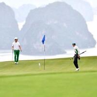 Chuyển nhượng Dự án Sân golf 18 hố FLC Hạ Long Golf Club & Resort Quảng Ninh - LH 0963132178