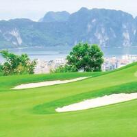 Chuyển nhượng Dự án Sân golf 18 hố FLC Hạ Long Golf Club & Resort Quảng Ninh - LH 0963132178