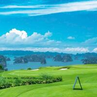 Chuyển nhượng Dự án Sân golf 18 hố FLC Hạ Long Golf Club & Resort Quảng Ninh - LH 0963132178