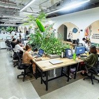 Cho Thuê Nhà Phố Đội Cấn 86 M2, Mặt Tiền 5.5 M Nhà 4 Tầng Phù Hợp Mọi Mô Hình Kinh Doanh