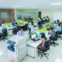 Cho Thuê Nhà Phố Đội Cấn 86 M2, Mặt Tiền 5.5 M Nhà 4 Tầng Phù Hợp Mọi Mô Hình Kinh Doanh