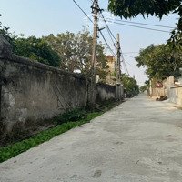 Bán Gấp Đất Tại Minh Hoàng, Phù Cừ, Hưng Yên, Giá Siêu Hời 1,45 Tỷ, 106,8 M2
