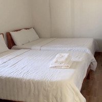 Cho Thuê Toàn Bộ Nhà Làm Homestay/Phòng Trọ Tại Trung Tâm Đà Lạt, Lâm Đồng