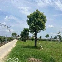 Bán 1000M2 ( 14.5 X 68M ) Đất Lúa Ở An Lục Long, Châu Thành _Diện Tích: 14.5 X 68M2 ( 1000M2 )