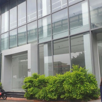 Cho Thuê Mặt Phố Trần Phú, 300 Nghìn/M2, 300M2, Hàng Hiếm Tại Hà Đông, Vị Trí Set Mọi Mô Hình