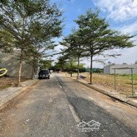 Chủ Kẹt Tiền Cần Sang Gấp Lô Đất 1035M2 Mặt Tiền Đường Ngay Trung Tâm Long Nguyên Bàu Bàng Shr Sẵn